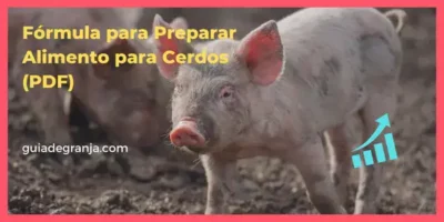 Fórmula para Preparar Alimento para Cerdos (PDF)